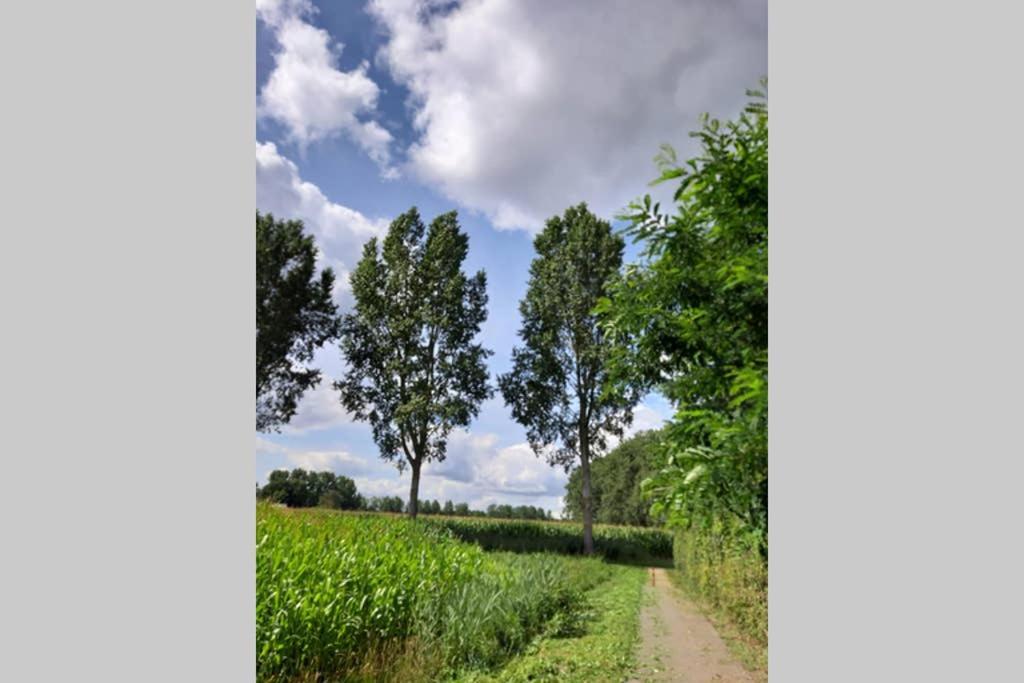 Brabants Genoegen Heeswijk Dinther Esterno foto